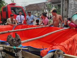 Sembilan Kecamatan di Pati Terdampak Kekeringan