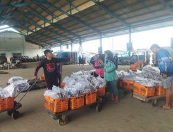 Awal Tahun, Segini Harga Ikan Tongkol di Pati