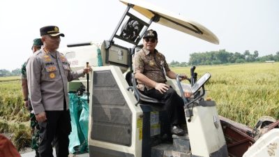 Pemkab Pati Minta Petani Hasilkan Padi 10 Ton/Hektare
