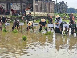 Pemkab Rembang Optimis Capai Target Luas Tanam 45 Ribu Hektare di Masa Tanam III