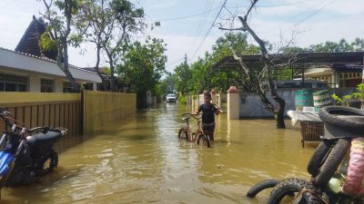 Banjir Rob di Desa Tunggulsari Belum Terselesaikan, Warga Masih Menunggu Solusi Permanen