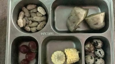 Menu MBG di SDN 1 Sidomulyo Ditolak Wali Murid dan Siswa, Sekolah dan SPPG Beri Penjelasan