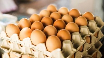 Permintaan MBG Tinggi, Harga Telur di Pasaran Melonjak